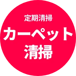日常清掃 カーペット清掃